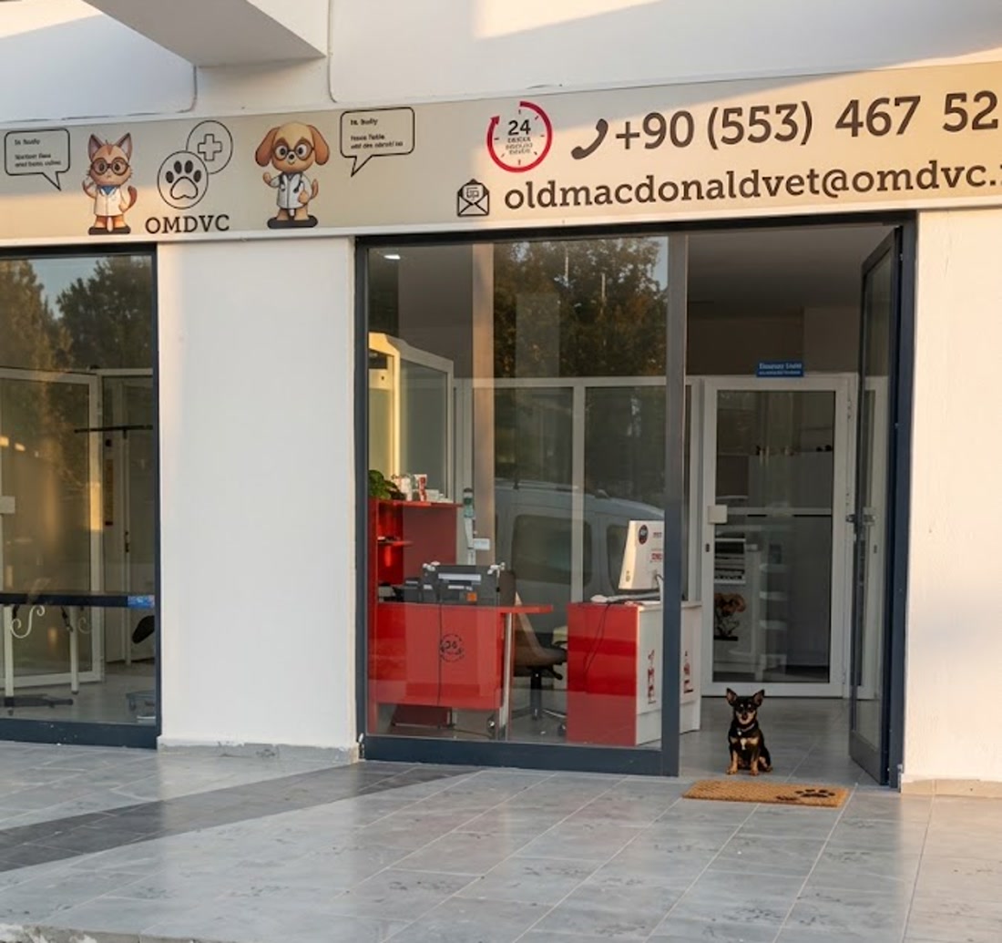 Old MacDonald Veteriner Kliniği'nin gece açık giriş kapısı