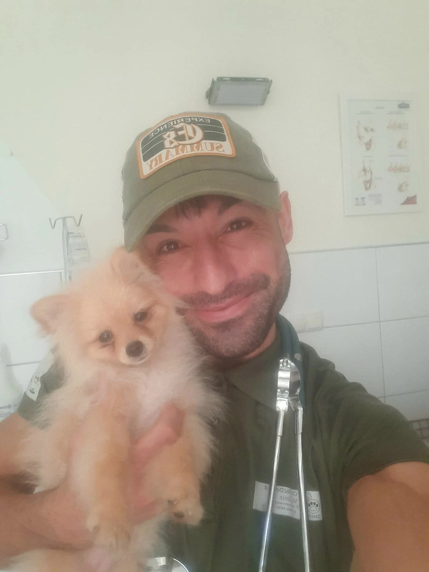 Klinikte muayene edilen Pomeranian cinsi köpek